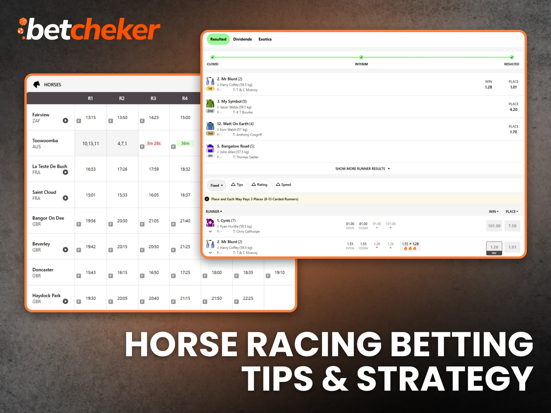 Horse Racing Betting Tips & Strategy South Africa