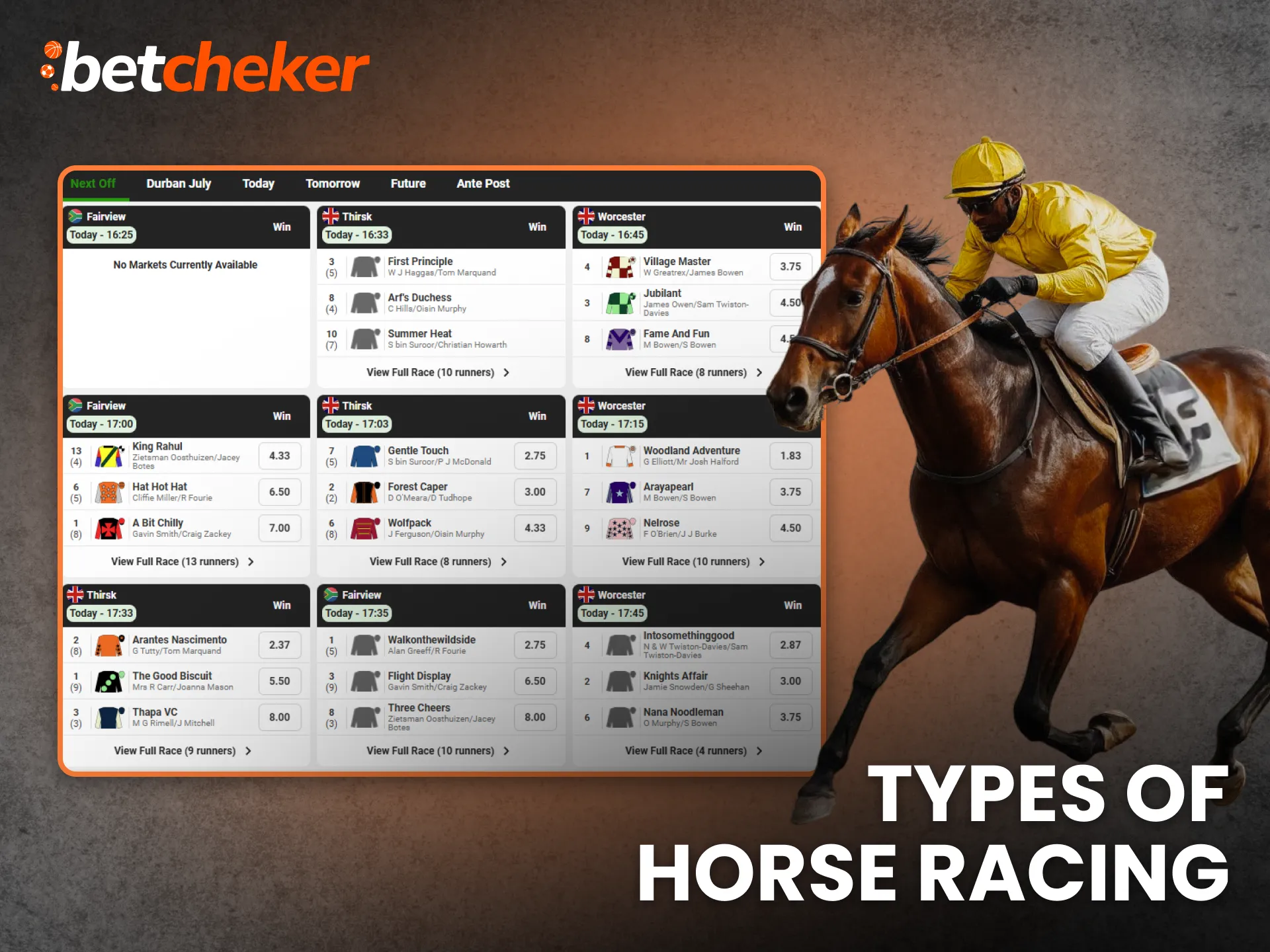 Types of Horse Racing South Africa