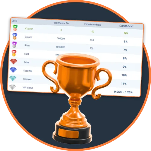Consider Loyalty Rewards and Promotions South Africa