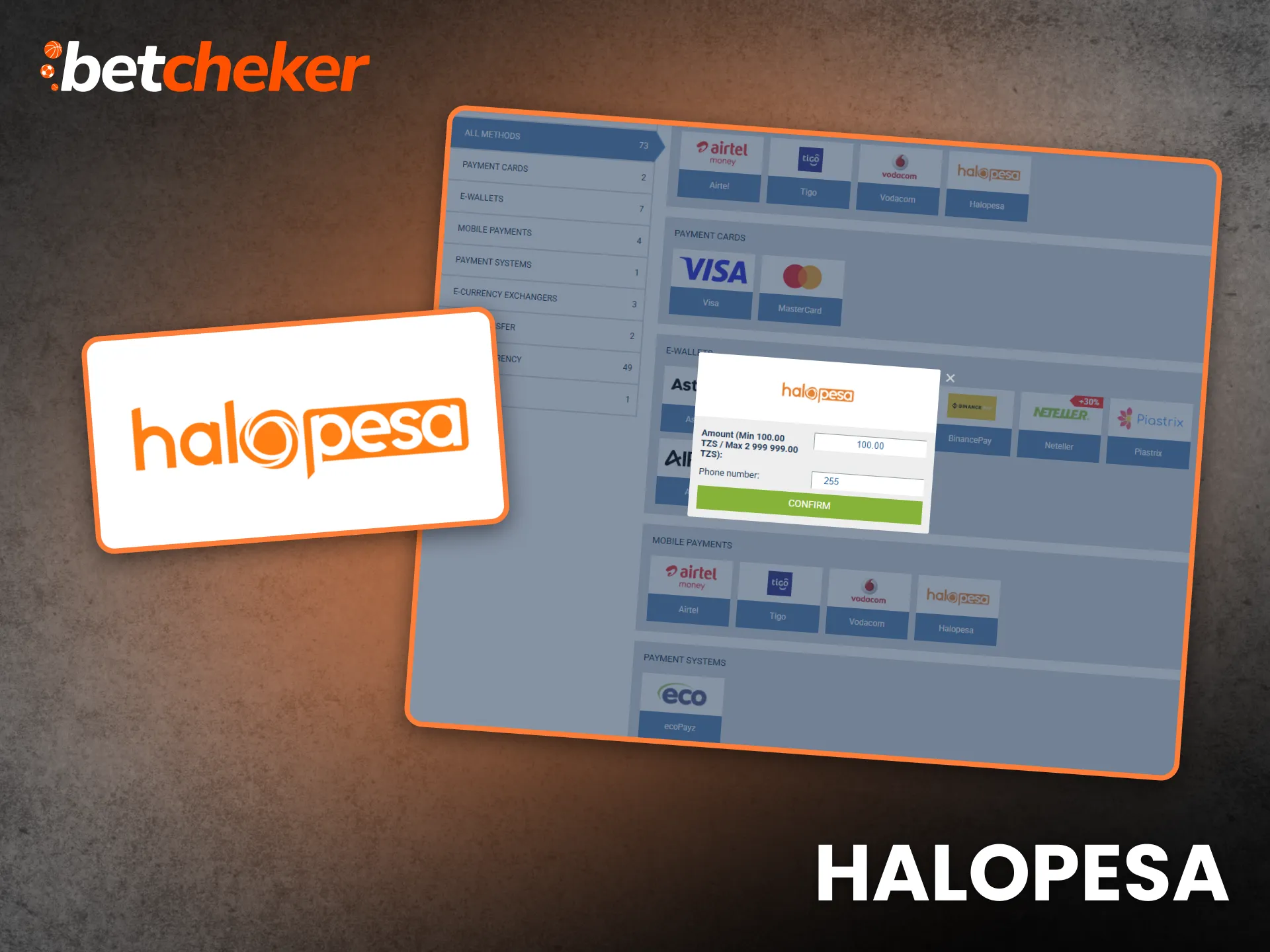 HaloPesa Tanzania