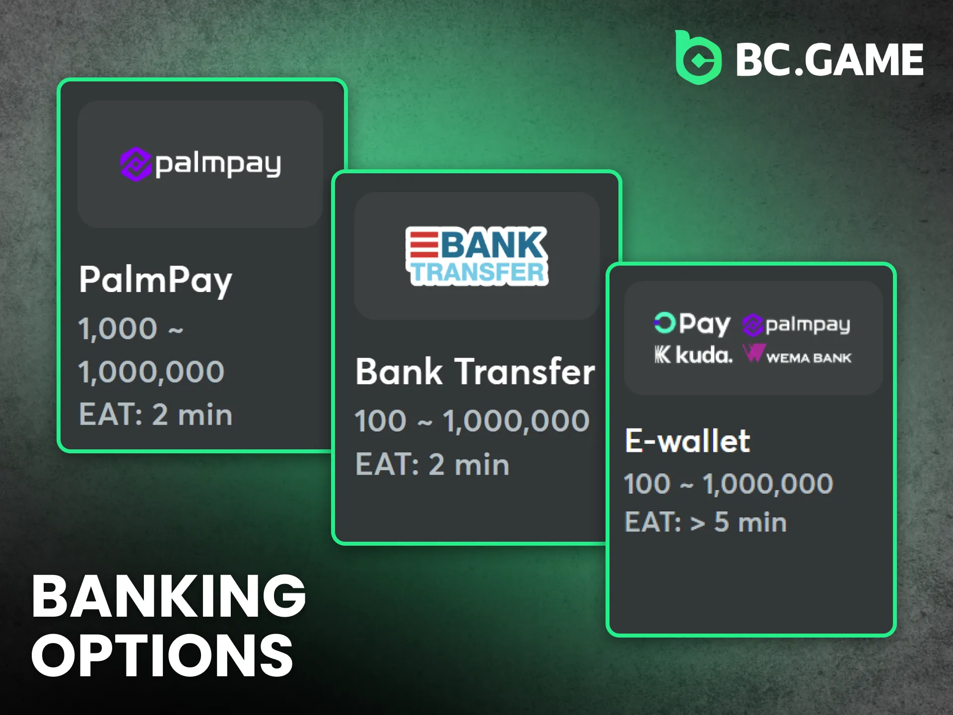 BC Game provides multiple banking options for fast and secure transactions.
