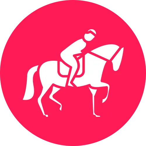 Racing enthusiasts can place bets on global events via BetGR8.