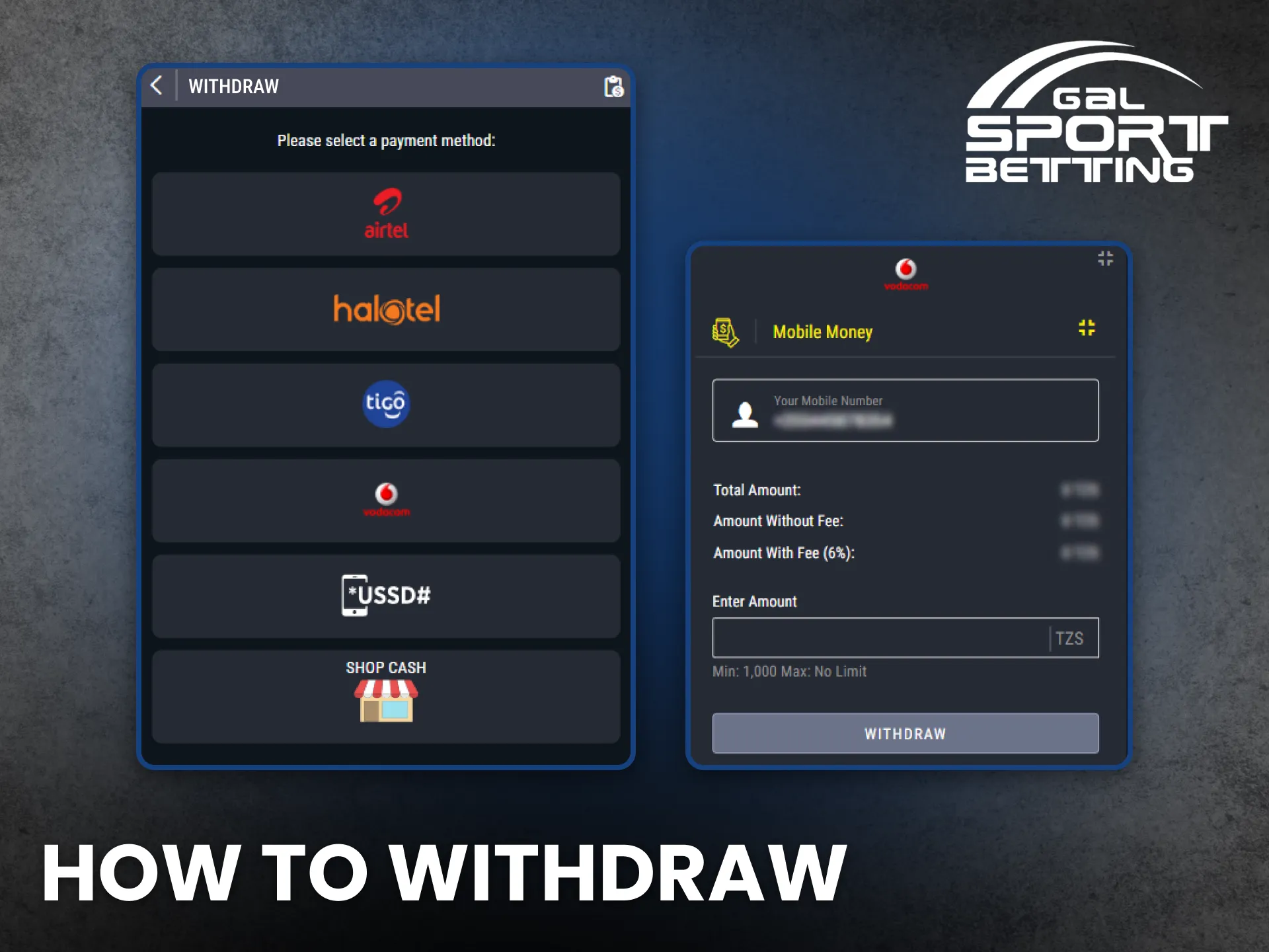 Withdraw winnings safely from your Gal Sport Betting Tanzania account.