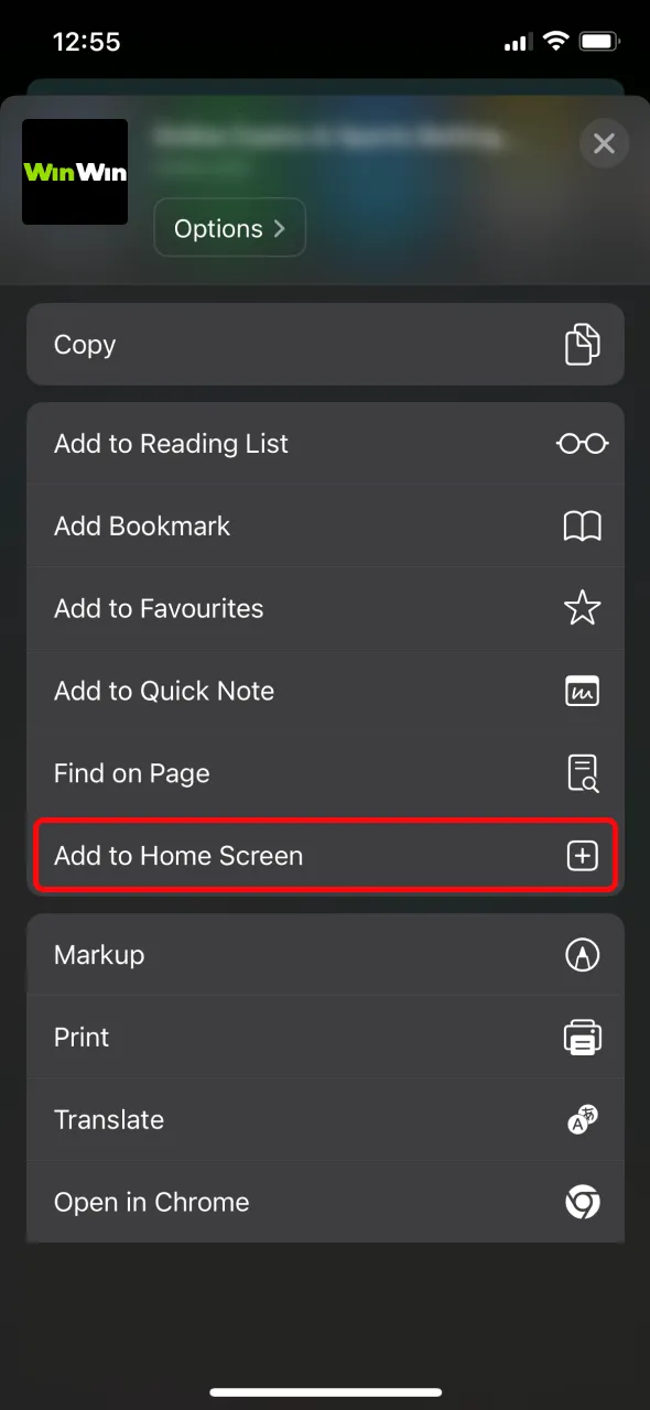 Select add to home screen to access the WinWin iOS app fast.