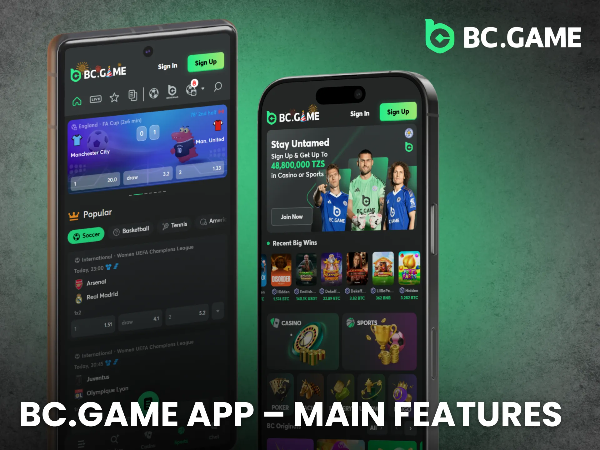 The BC Game app presents core features for mobile convenience.