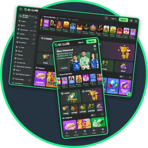 Navigation on BC Game feels intuitive on desktop and mobile.