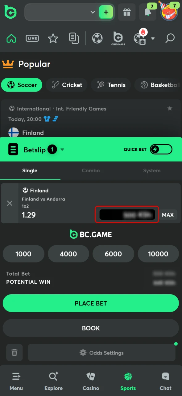 Enter your desired bet amount on the BC Game.