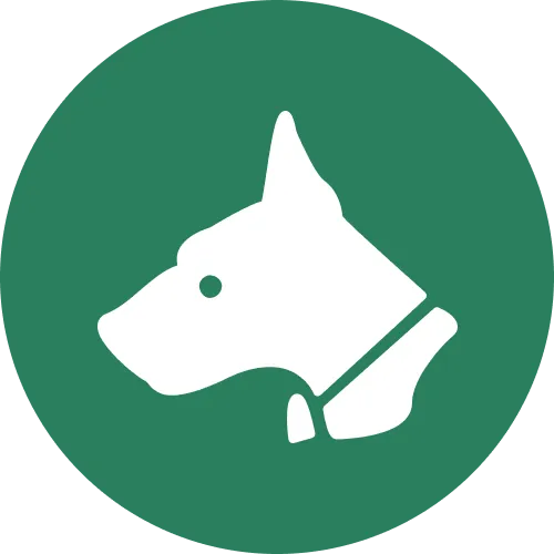 Place bets on greyhounds via Baji Live app easily.