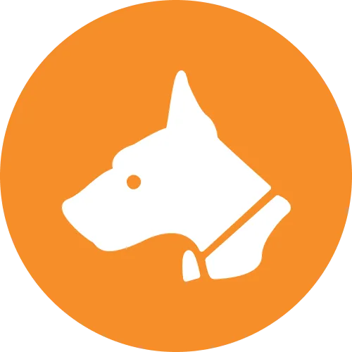 Explore greyhound betting through Jeetbuzz app and win rewards.