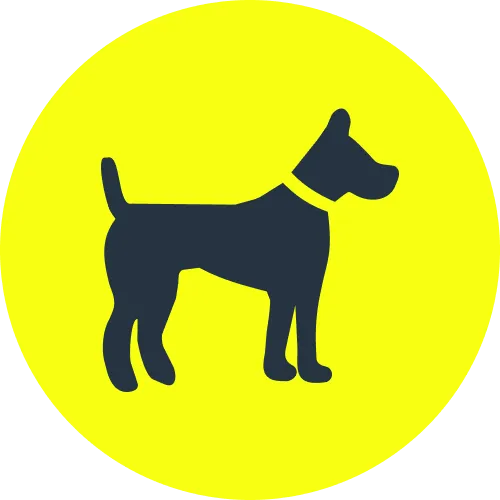 Explore virtual greyhound racing in Parimatch app.