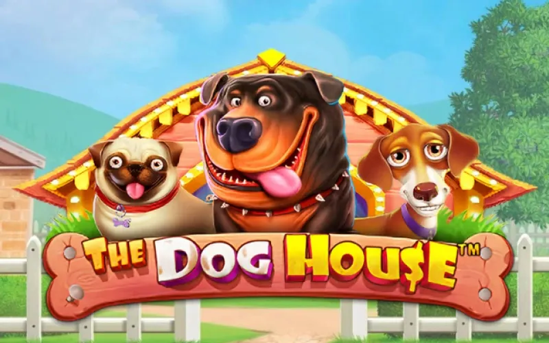 Enjoy The Dog House slot experience on Dafabet app.